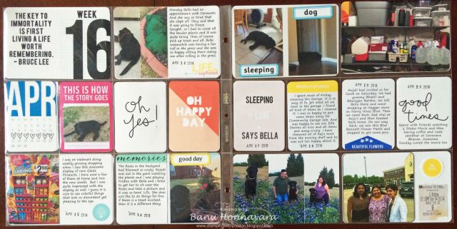 Project Life 2014 - Week 16