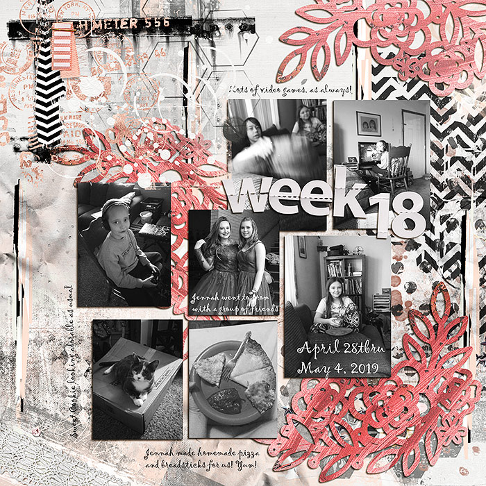 Project-life-jan-30-cut-file
