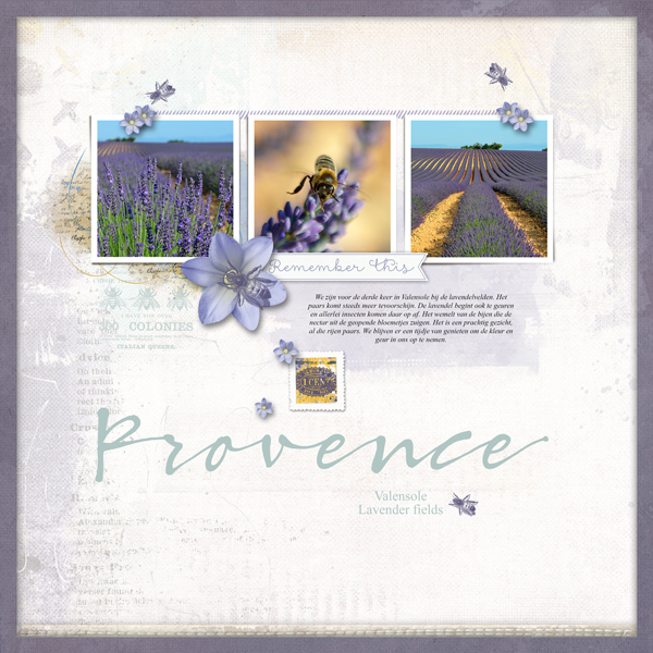 Provence |July Challenge