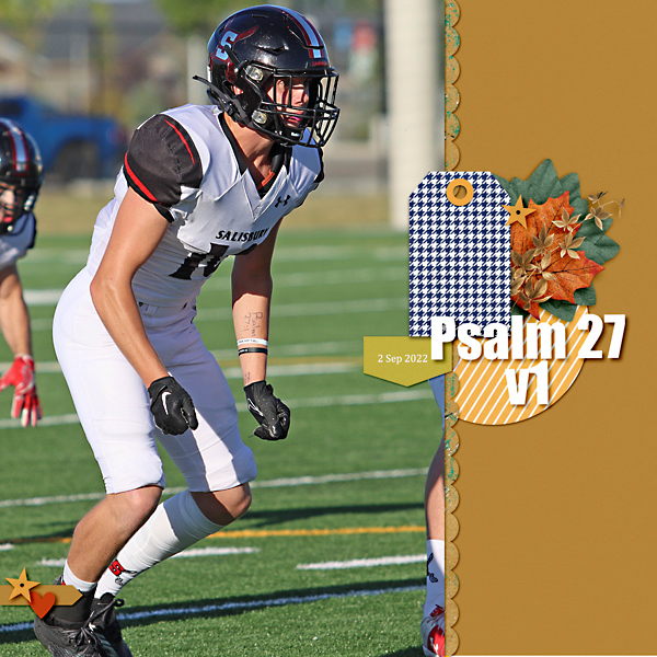 Psalm 27 v1