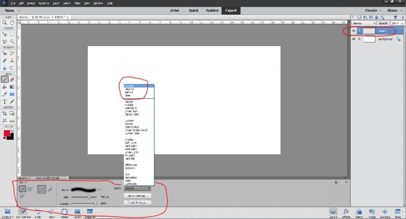 PSE Brush 4