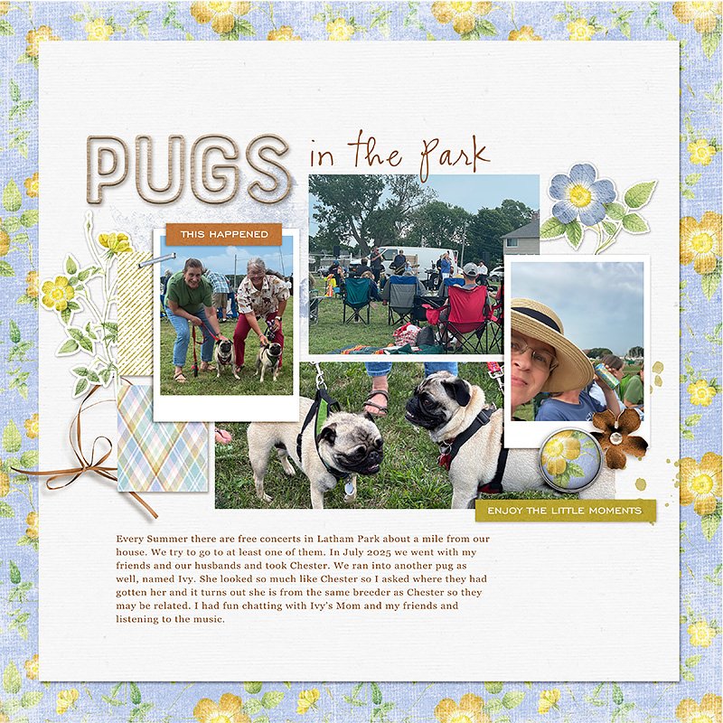 Pugs-in-the-Park.jpg