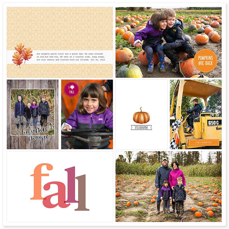 Pumpkin Patch 2014