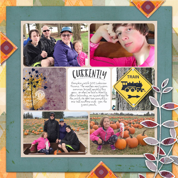 Pumpkin Patch 2017