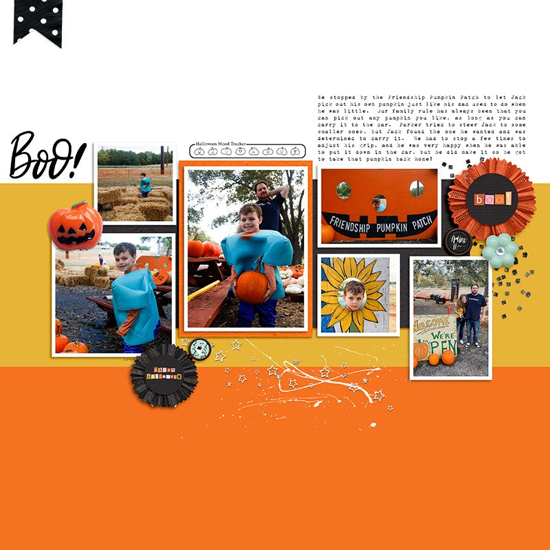 Pumpkin Patch Time!