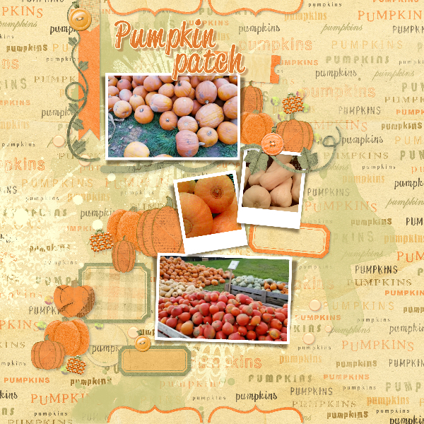 Pumpkin patch