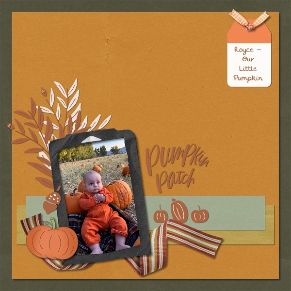 Pumpkin Patch
