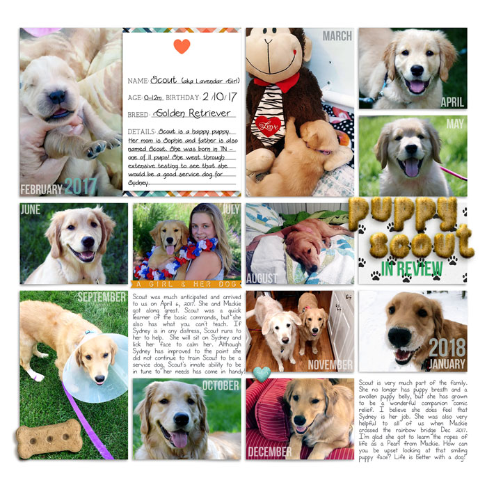 Puppy Scout