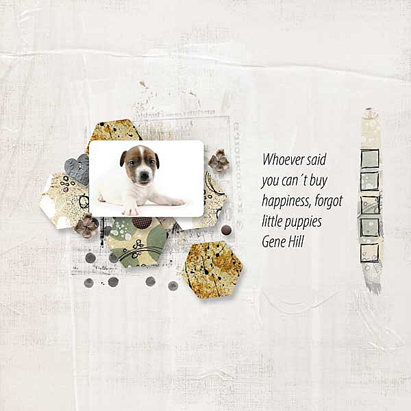 puppy