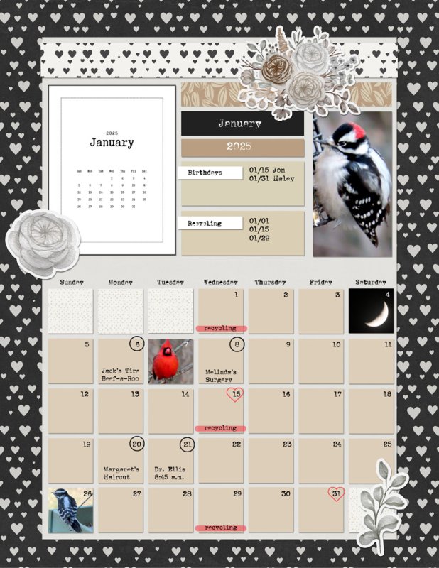 Pure & Simple_Jan2025