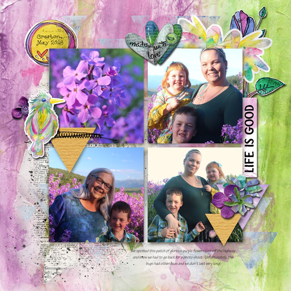 Purple Flowers