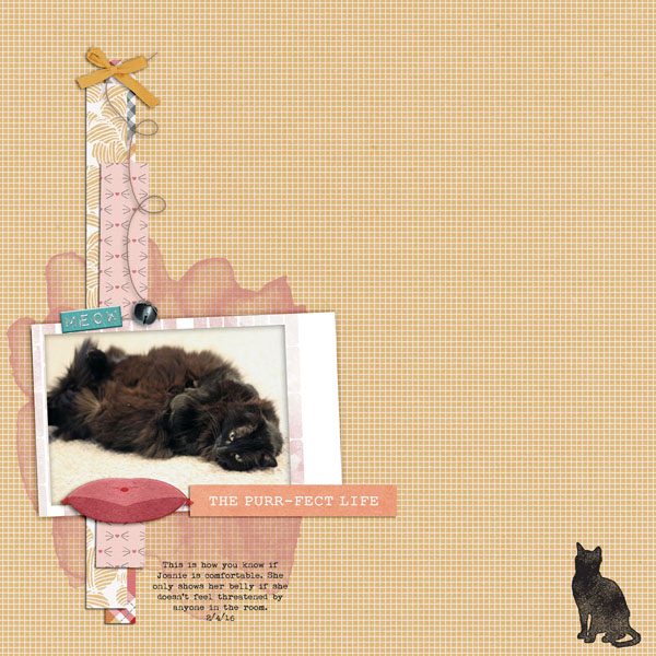 Purr-Fect Life