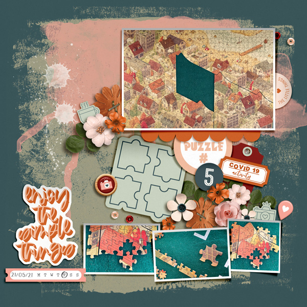 Puzzle No. 5