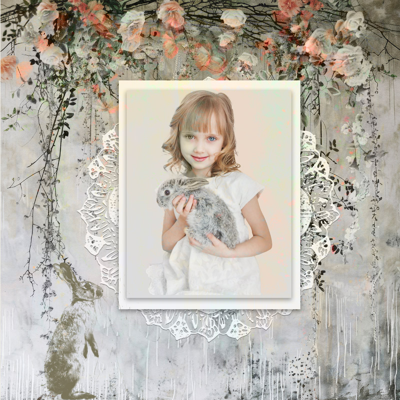 Rabbit