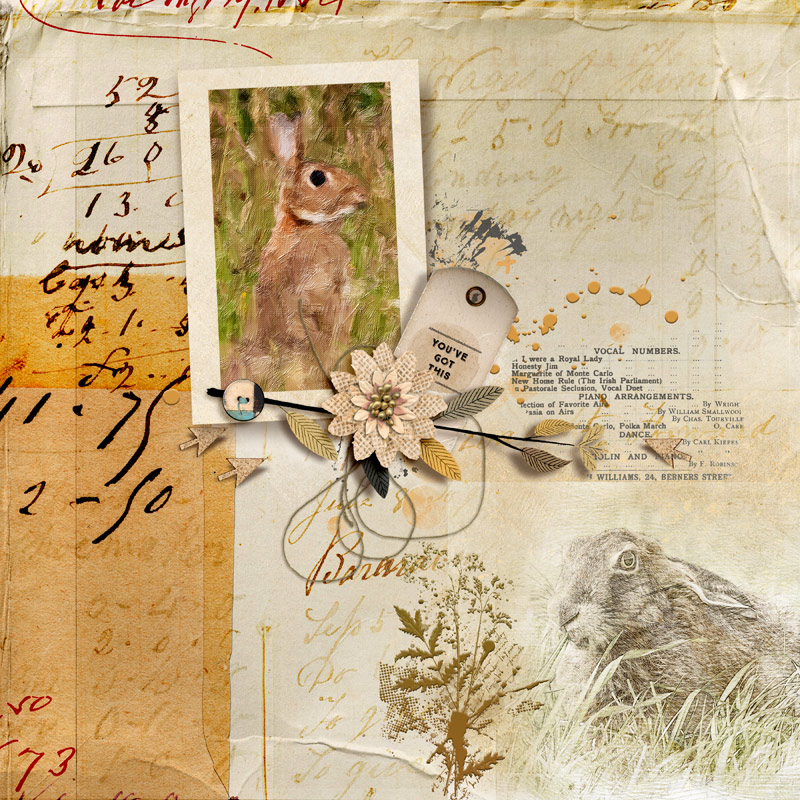 Rabbit