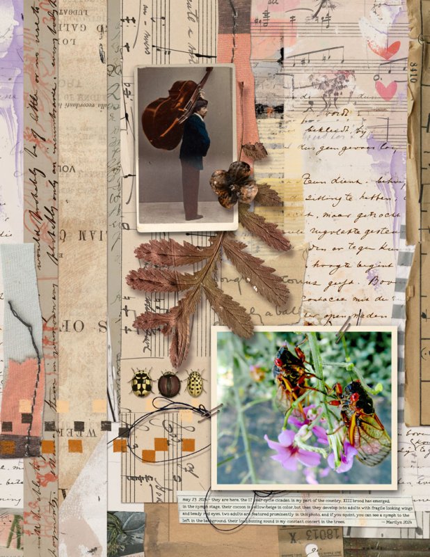 Rachel Jefferies - June Designer MM Challenge
