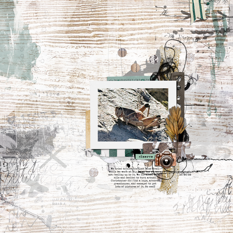 Rachel Jefferies LOD