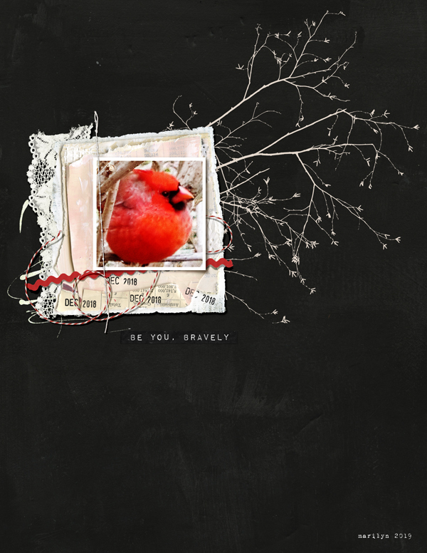 Rachel-Jefferies_2019-01_January_Cardinal_web