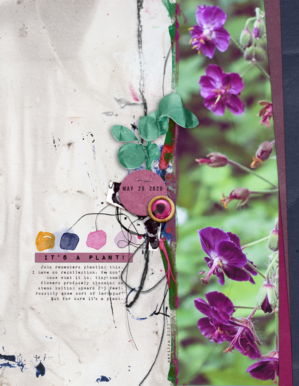Rachel-Jefferies_2020-06_June_New_0626_M3-June-2020-Add-Ons_Flower_web
