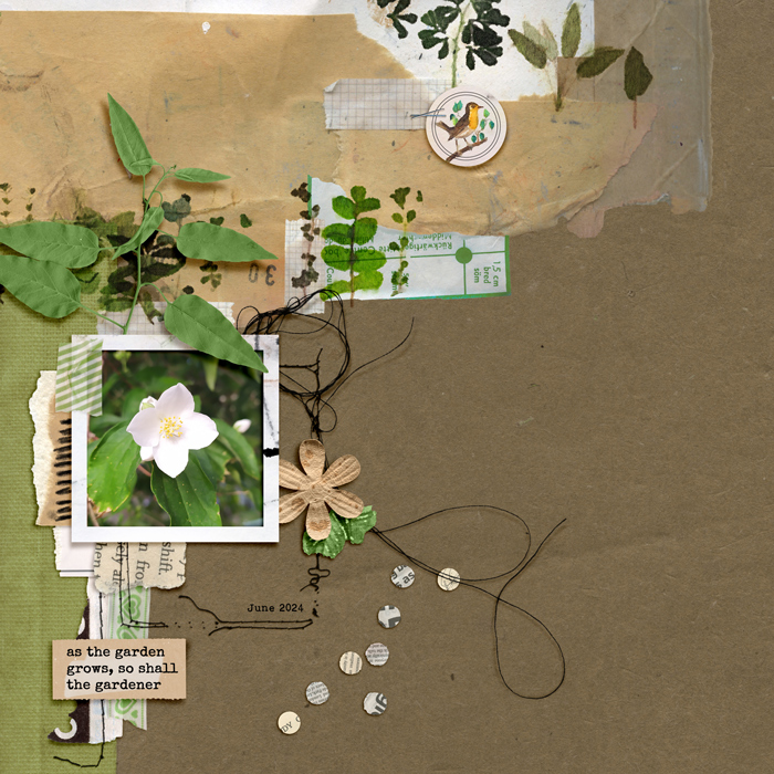 Rachel's Mixed Media Challenge - June 2024