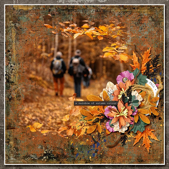 RAINBOW OF AUTUMN COLOURS
