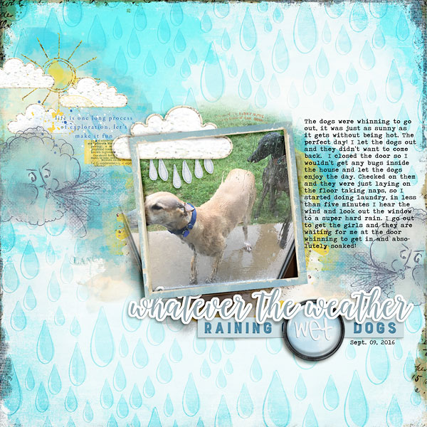 Raining Wet Dogs