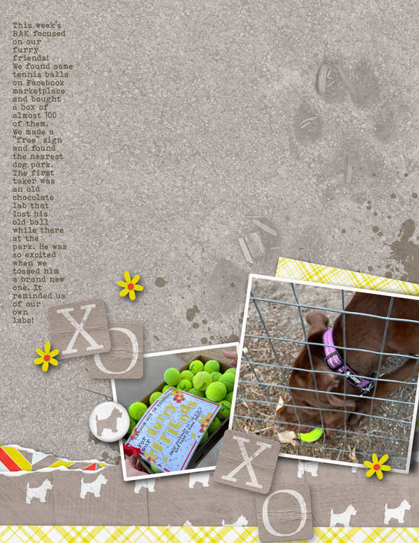 RAK for furry friends