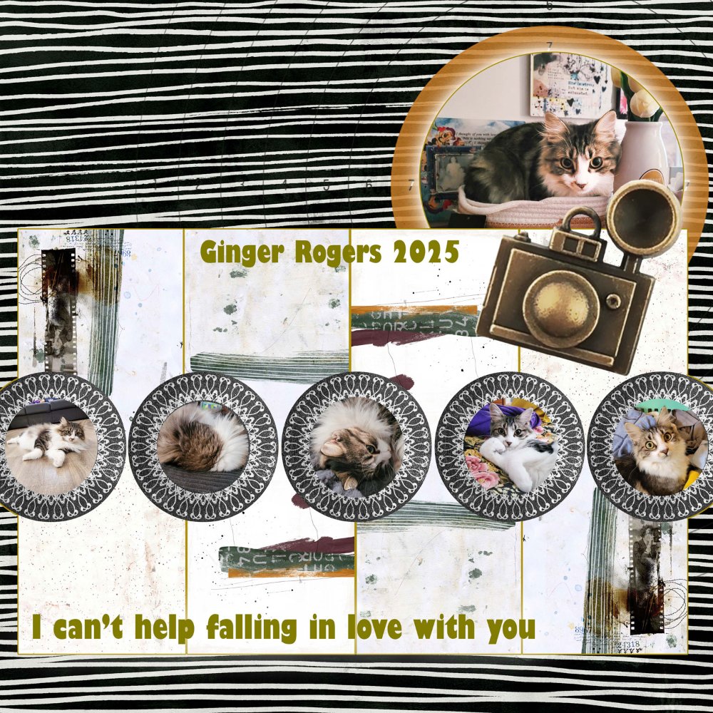 Random-Ginger-Rogers-the-Super-Meowdel.jpg