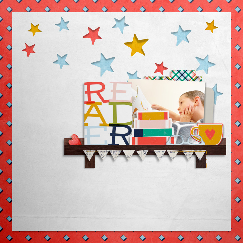 Reader