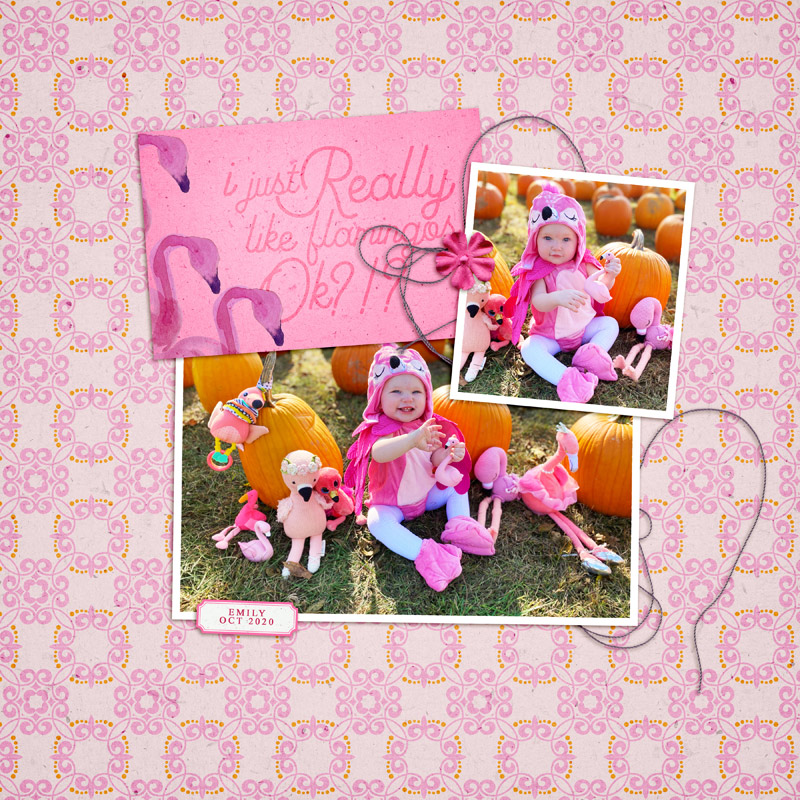 Really Like Flamingos