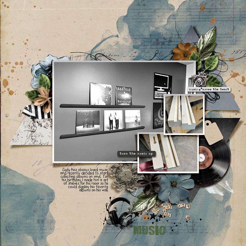 Record Shelves