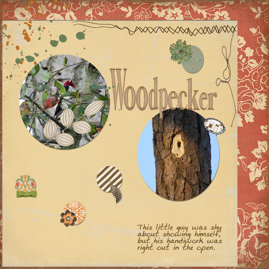 Red-Headed Woodpecker and His Handiwork