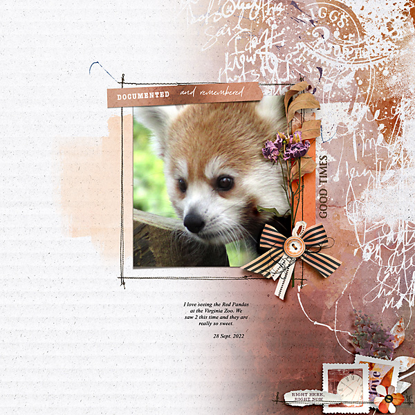 Red Panda