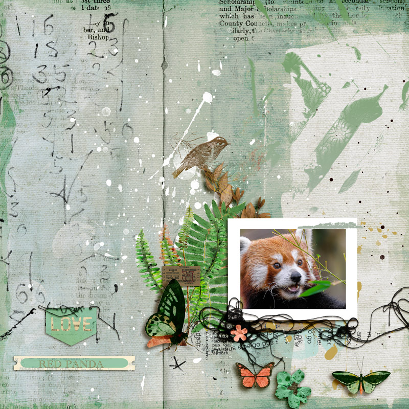 Red Panda