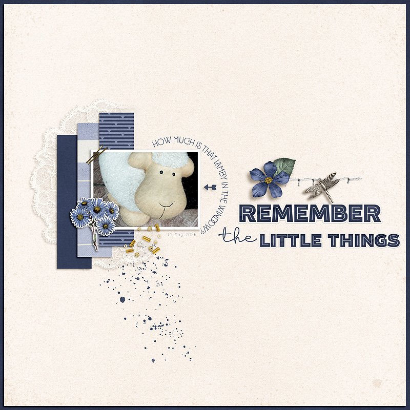 Remember the Little Things