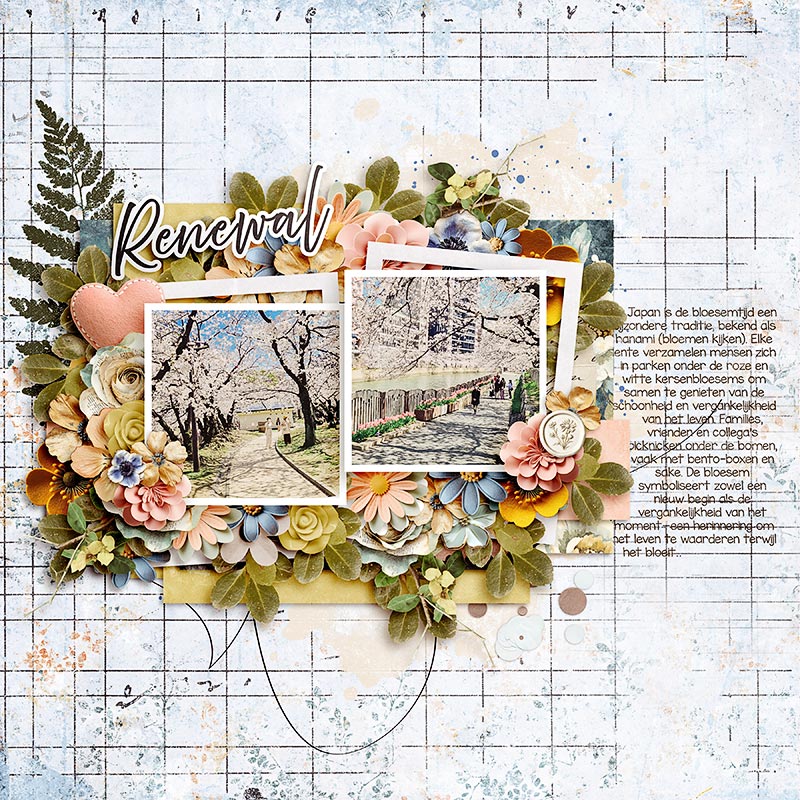 Renewal