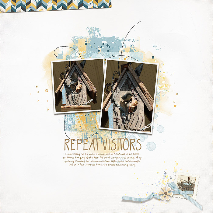 Repeat Visitors