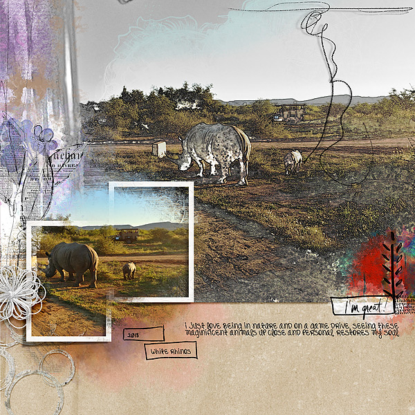 Rhinos