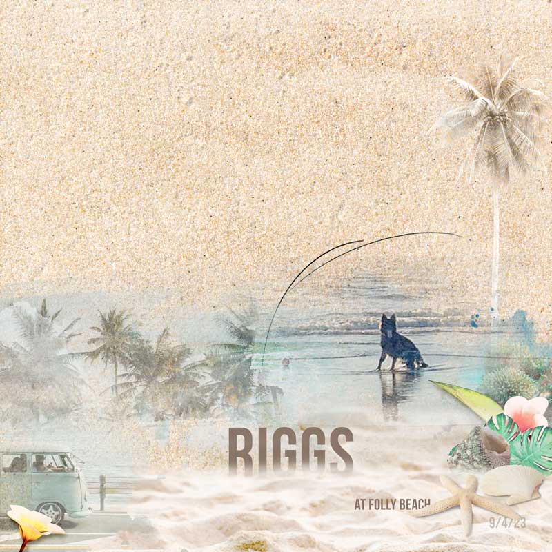 RiggsAtFollyBeach