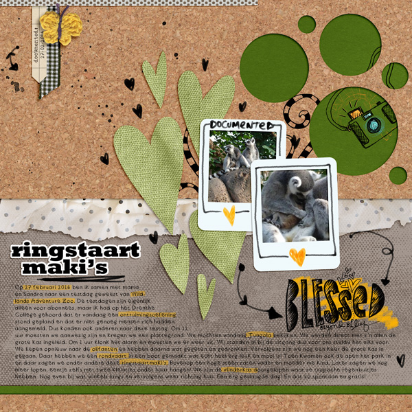 Ringstaartmaki's