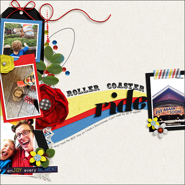 Roller Coaster Ride