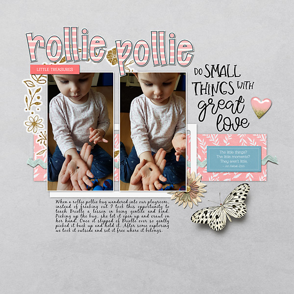 Rollie Pollie Bug