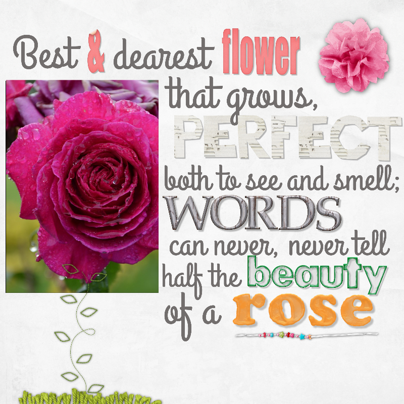 Rose