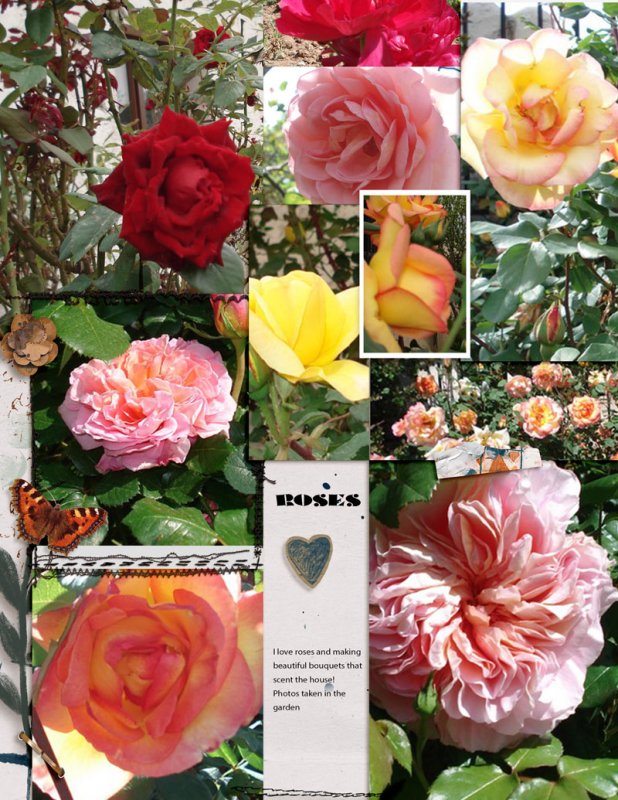 Roses