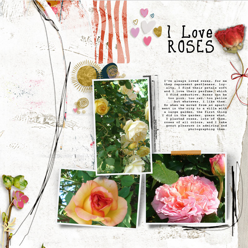 Roses