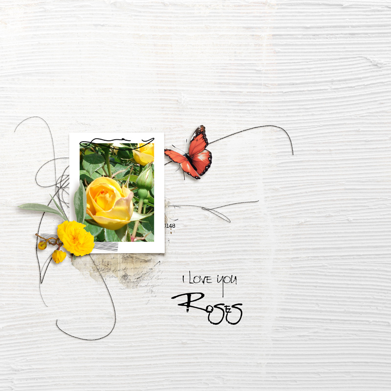 Roses