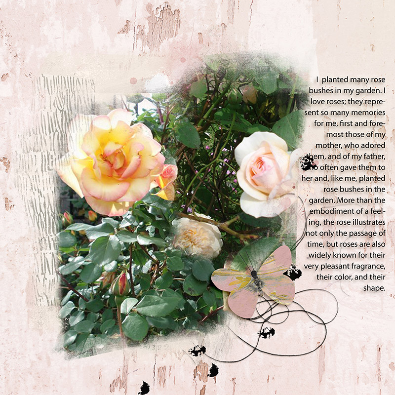 Roses
