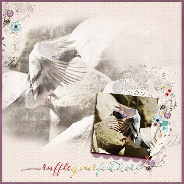 Ruffle Your Feathers