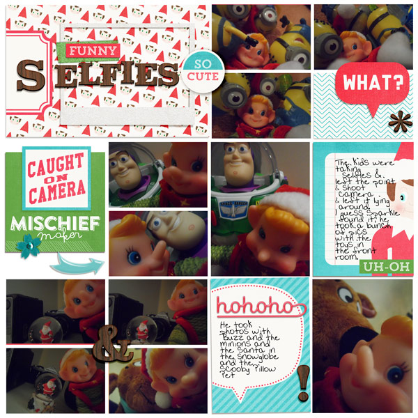 s[elf]ies