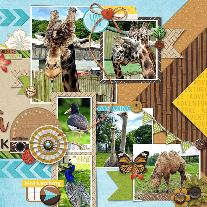 Safari Park Right
